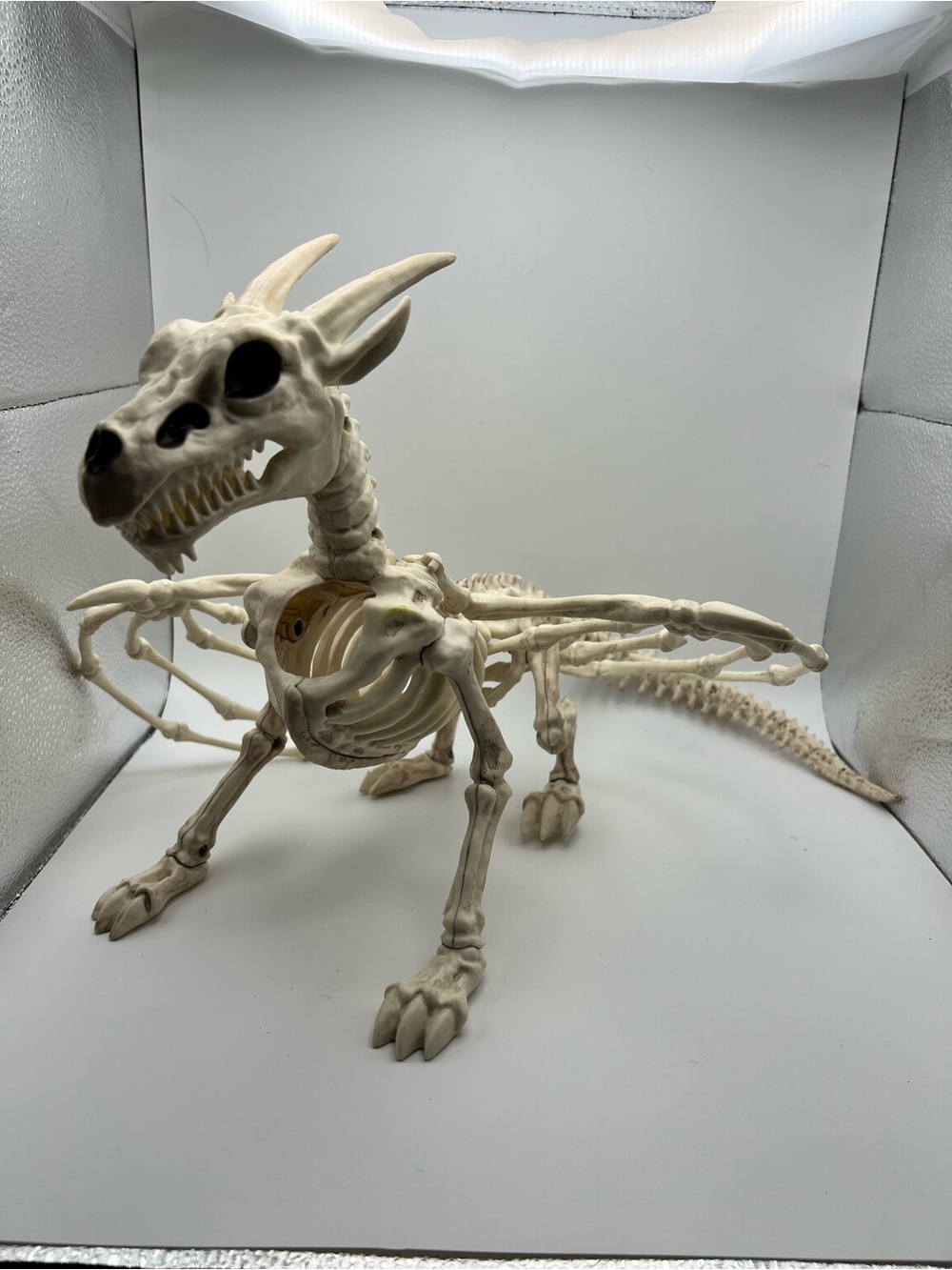 Halloween Reptile Dragon Skeleton Decoration- Cream